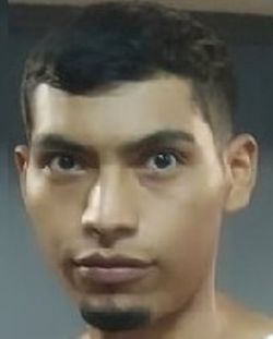 910890.jpg
