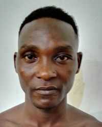 File:917331.jpeg