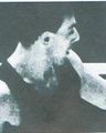 Thumbnail for version as of 19:52, 26 January 2021