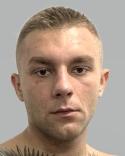 945585.jpg