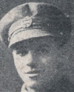 949621.jpg