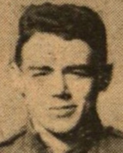 951916.jpg