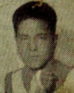 951999.jpg