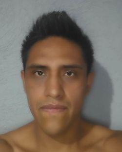 993010.jpg