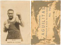 File:A. Fierro.jpg