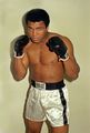 ALI-POSE-310.jpg