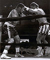 ASpinks-ray K usa.jpg