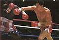 A BoxingPic Craig B gator.jpg
