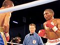 A IBF IBO WORLDflyTitle.JPG