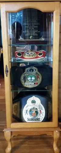 File:A Trophy case 2014.jpg