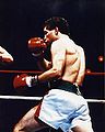 A Young Bruce S.jpg