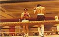 A boxing photo upstate New York USA.jpg