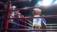 File:Adeilson Dos Santos vs. Daniel Silva (02).jpg