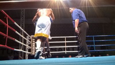 Adeilson Dos Santos vs. Daniel Silva (03).jpg