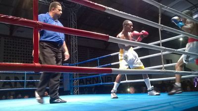 Adeilson Dos Santos vs. Daniel Silva (04).jpg