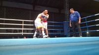 File:Adeilson Dos Santos vs. Daniel Silva (07).jpg