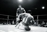 File:Adilson Rodrigues(16).jpg