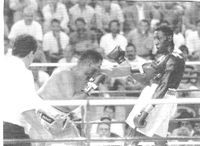 File:Adilson Rodrigues vs. Johnny Nelson .jpg