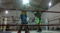 File:Adonisio Francisco Reges vs. Etoundi Michel William (27).jpg