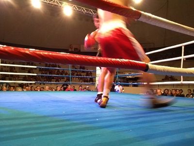 Agnaldo Nunes vs. Lucas de Oliveira da Silva (34).jpg