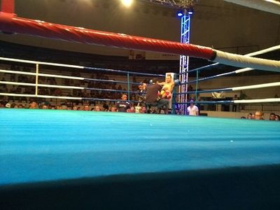 Agnaldo Nunes vs. Lucas de Oliveira da Silva (36).jpg