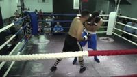 File:Ahmed Anshraf vs. Ramy Abdalla 044.jpg
