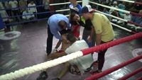 File:Ahmed Moshref vs. Ahmed Hamdan 027.jpg