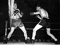 Al Hostak vs. Erich Seelig . Fasan.jpg