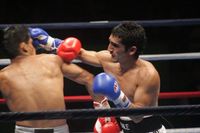 File:Alan Paredes vs. Guillermo Dejeas.jpg