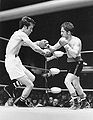 Albert Davila vs Frankie El Huero Duarte ..jpg