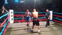 File:Aldimar Silva vs. Lucas de Oliveira da Silva (16).jpg