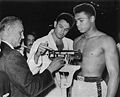 Alejando Lavorante - Cassius Clay.jpg