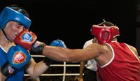 File:Alex Rodrigues vs. Ronaldo Almeida.jpg