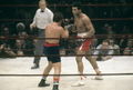 Ali-Bonavena 83463770.jpg