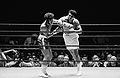 Ali-Ellis U1711462.jpg