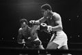 Ali-Folley-U1549532.jpg