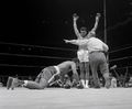 Ali-Folley-U1549533.jpg