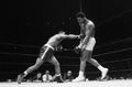 Ali-Folley-U1549535.jpg