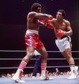 Ali-Lyle 71419278.jpg