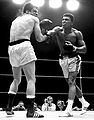 Ali-Mildenberger 1226385009.jpg