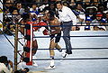 Ali-Norton III 137337053.jpg