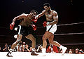 Ali-Patterson 1965 018.jpg