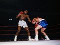 Ali-Quarry 1 U1671203-5.jpg