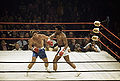 Ali-Quarry I 6af01b11381e4724b61e6f950c070c8b-1.jpg