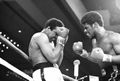 Ali-Spinks I-BE056195.jpg