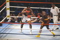 Ali-Spinks II 137375096.jpg
