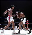 Ali-Terrell 4025.jpg