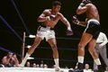 Ali-Williams 287533b.jpg