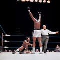 Ali-Williams mw9hga93so1qm9rypo1 1280.jpg