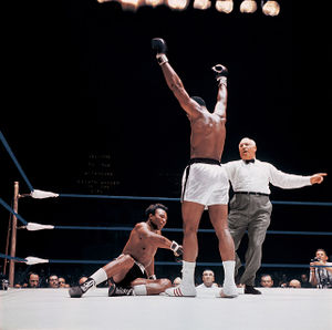Ali-Williams mw9hga93so1qm9rypo1 1280.jpg